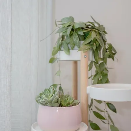 Apartamento Primrose *